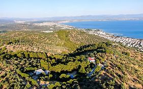 Dusler Vadisi Kazdaglari